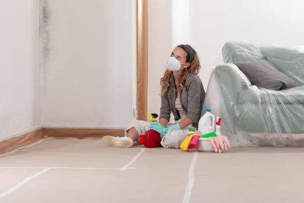 Reliable Basement Mold Remediation contractor in Bridgman, MI by Car Mold Remediation